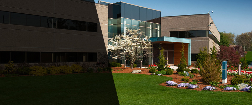 Wake Forest Landscapers