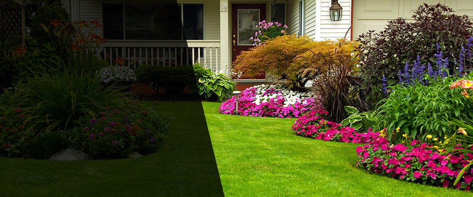 Wake Forest Landscapers