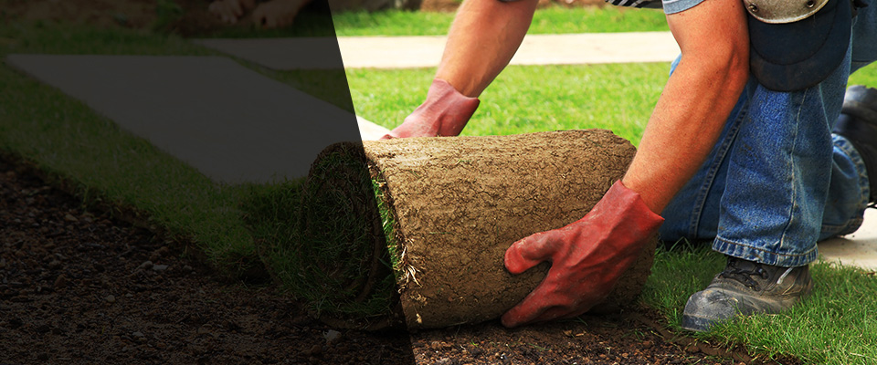 Wake Forest Landscapers